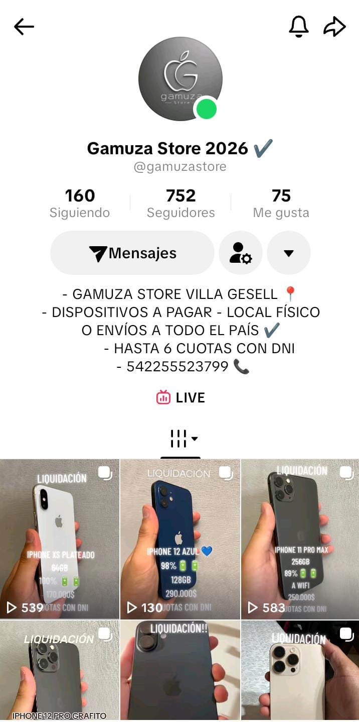 Perfil de TikTok de Gamuza Store